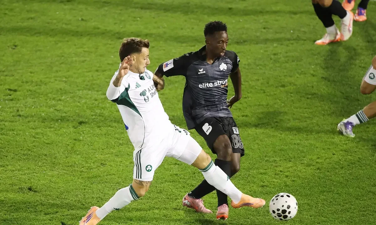 daniel mancini, aris
