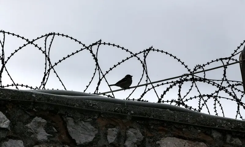 Απόδραση δύο κρατουμένων από τις φυλακές στα Τρίκαλα - Τι ισχύει για την ασφάλεια των φυλακών