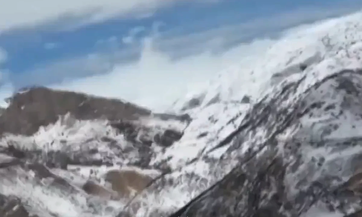 Αετός άρπαξε drone