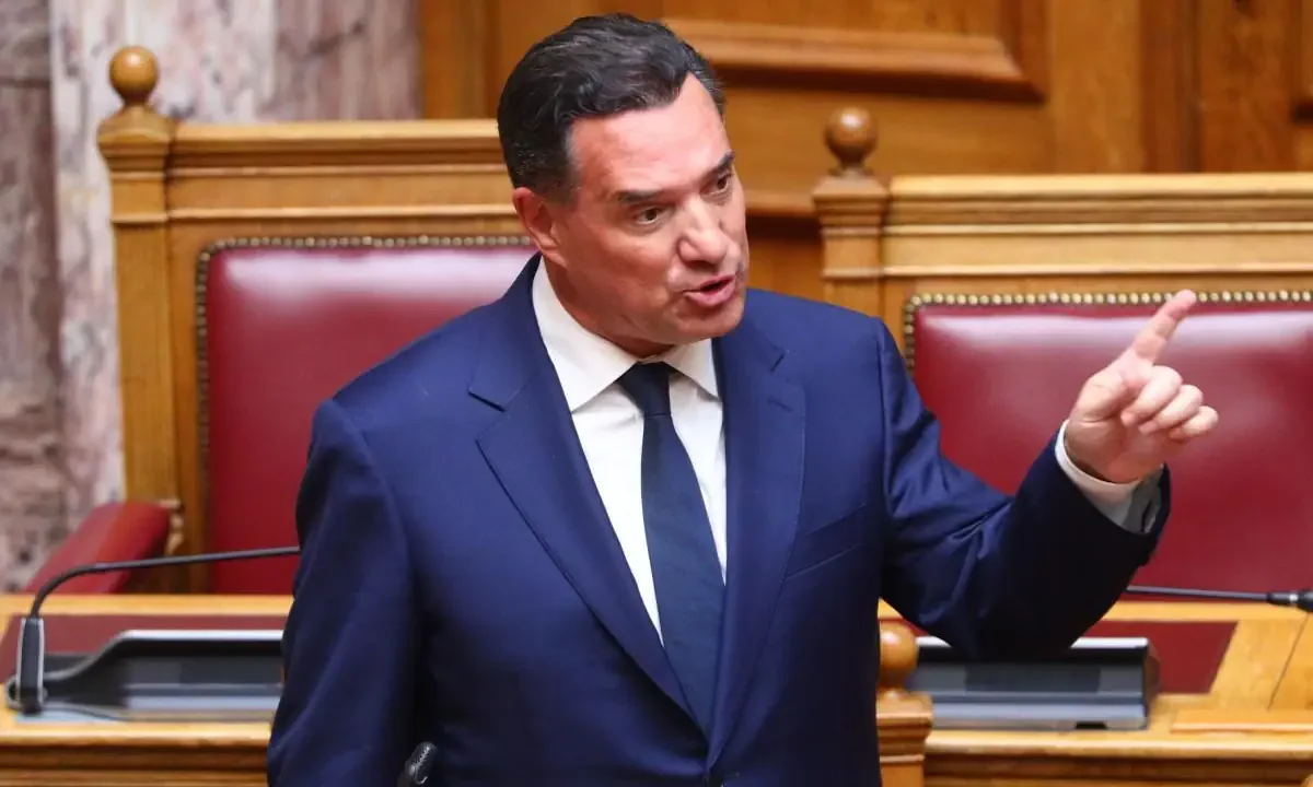 Μέσα από το ιδιωτικό... σύμπαν του, ο Άδωνις Γεωργιάδης δήλωσε ότι όσα είπε η Λάουρα Κοβέσι ήταν «κατά βάση... υπέρ της κυβερνήσεως».