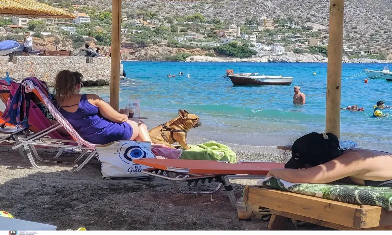 Αιτήσεις Κοινωνικού Τουρισμού: Πως να τις διορθώσετε για να μην απορριφθούν λόγω λάθους