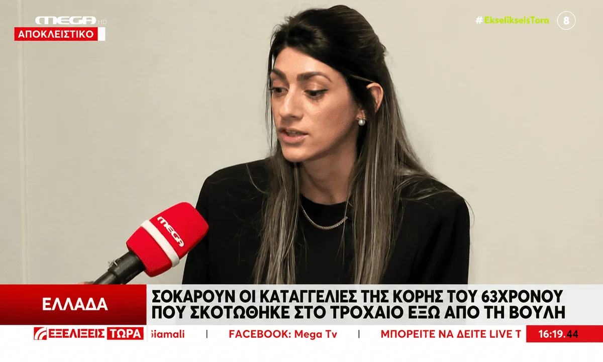 diloseis troxaio vouli