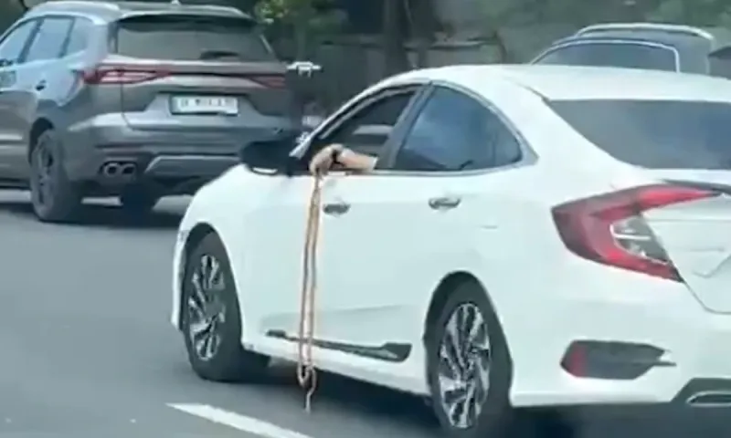 Κομπολόι γίγας κράταγε οδηγός στην Κωνταντινουπολη και έγινε Viral (video)