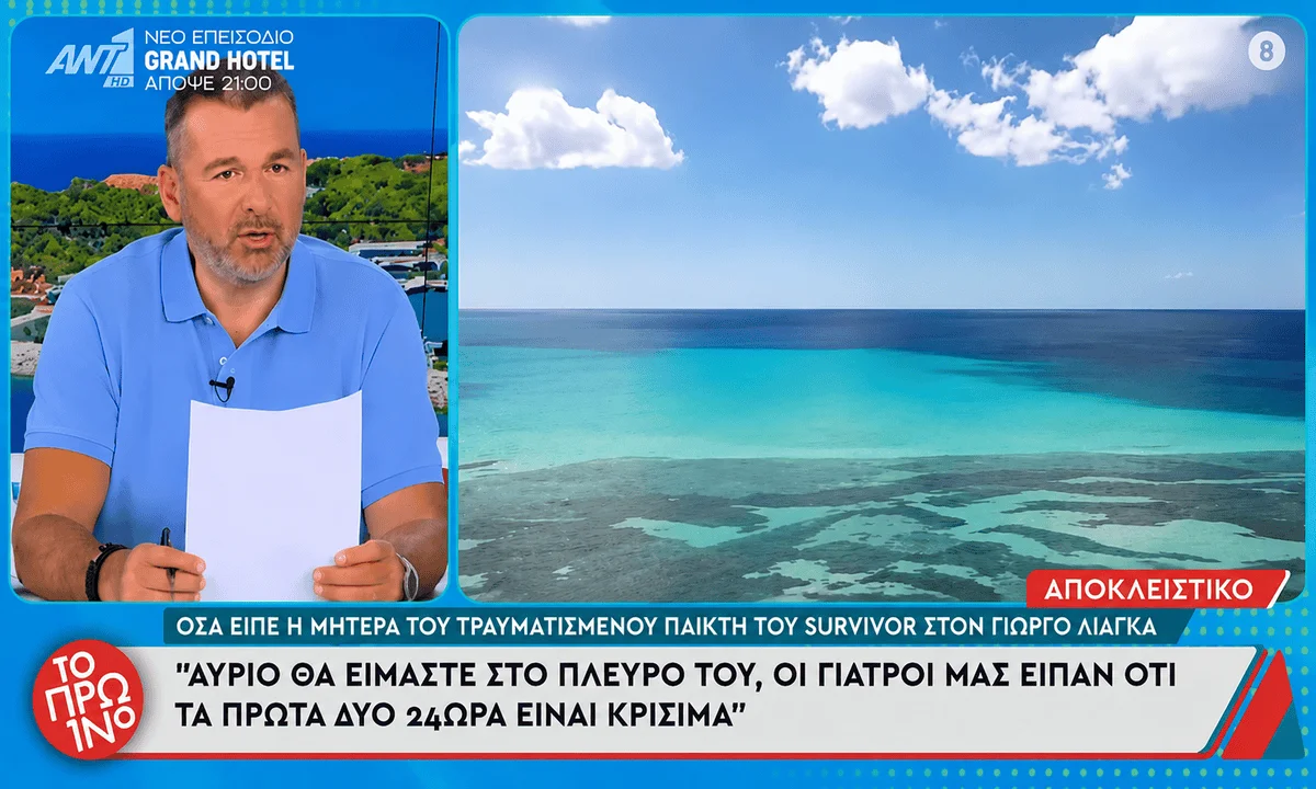 survivor survivor survivor news survivor nea survivor