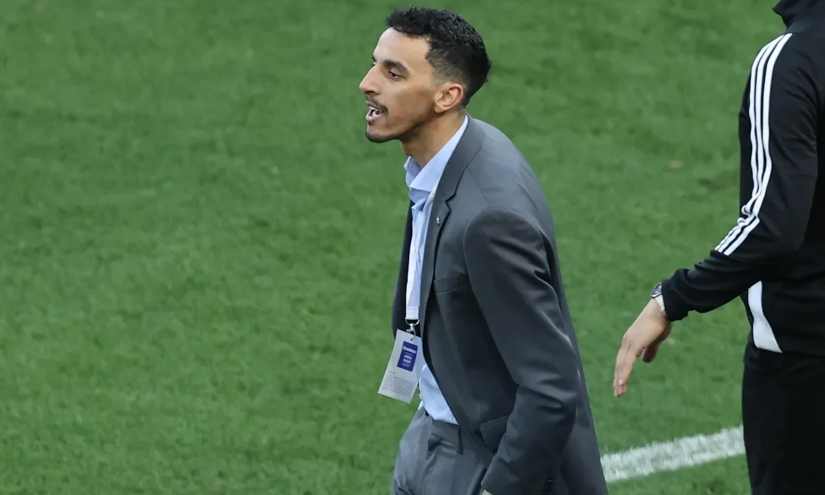 panathinaikos, neestroup, zeka