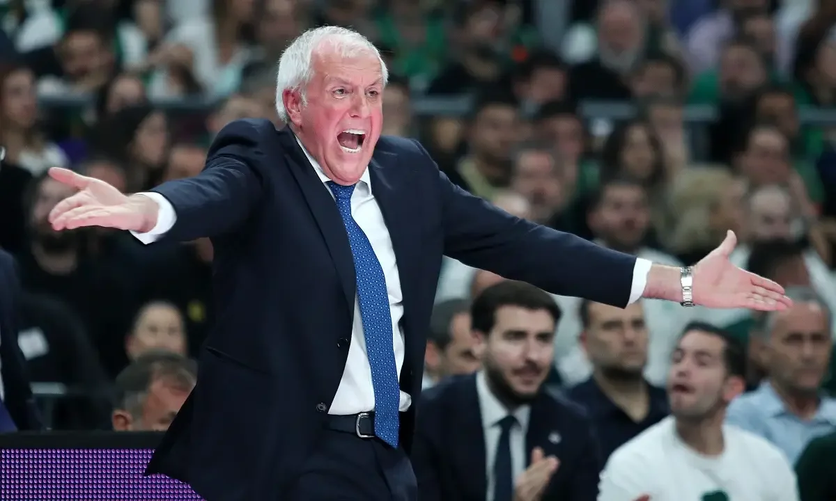 zelico obradovic