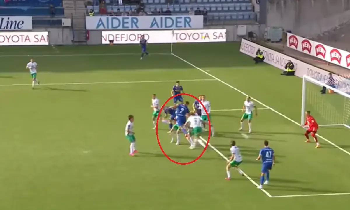 zinedin smailovic