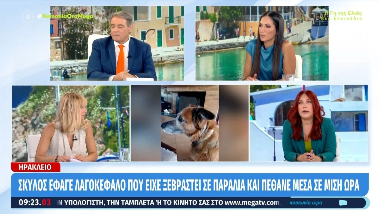 Οκτώβρη οι πρεμιέρες στα κανάλια... 