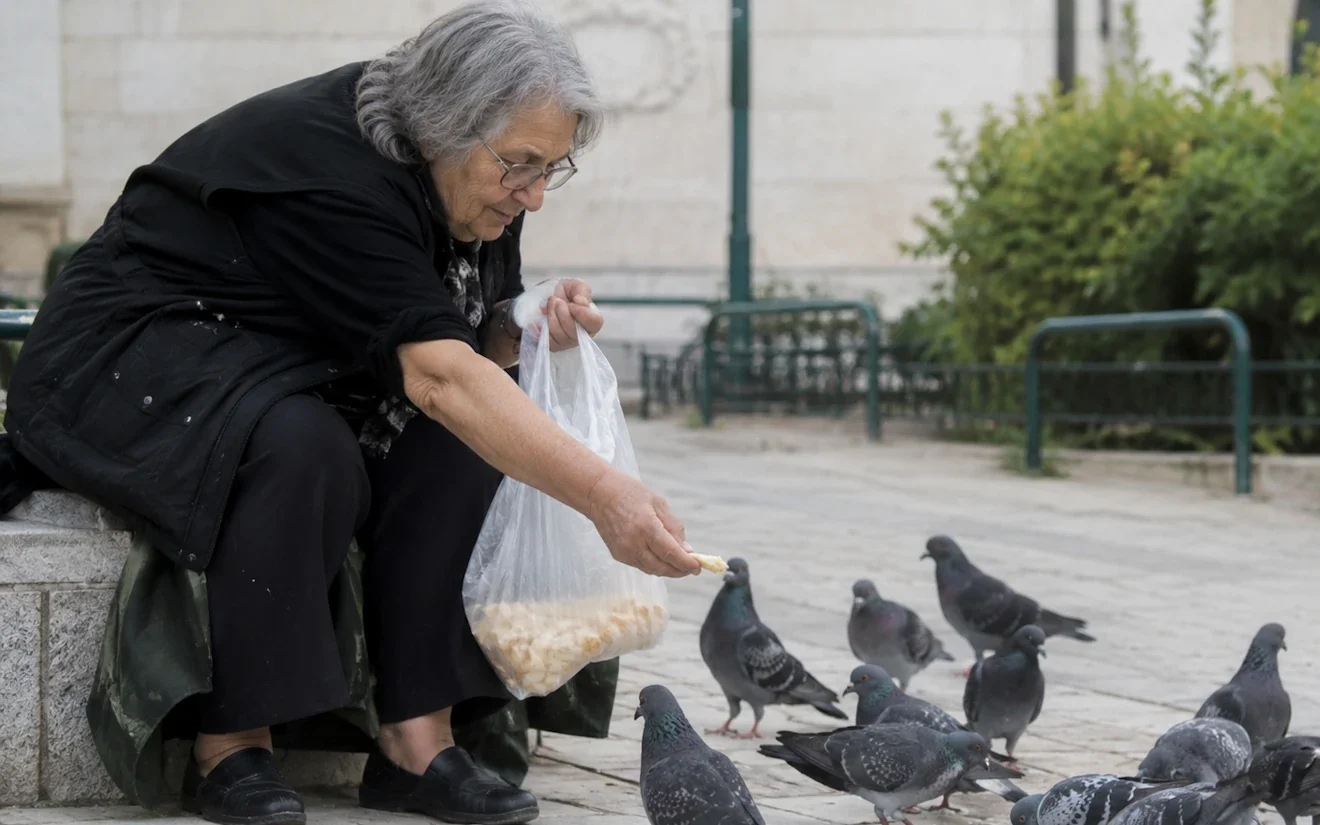 Περιστέρια στις πόλεις: Φταίνε όσοι τα ταΐζουν;