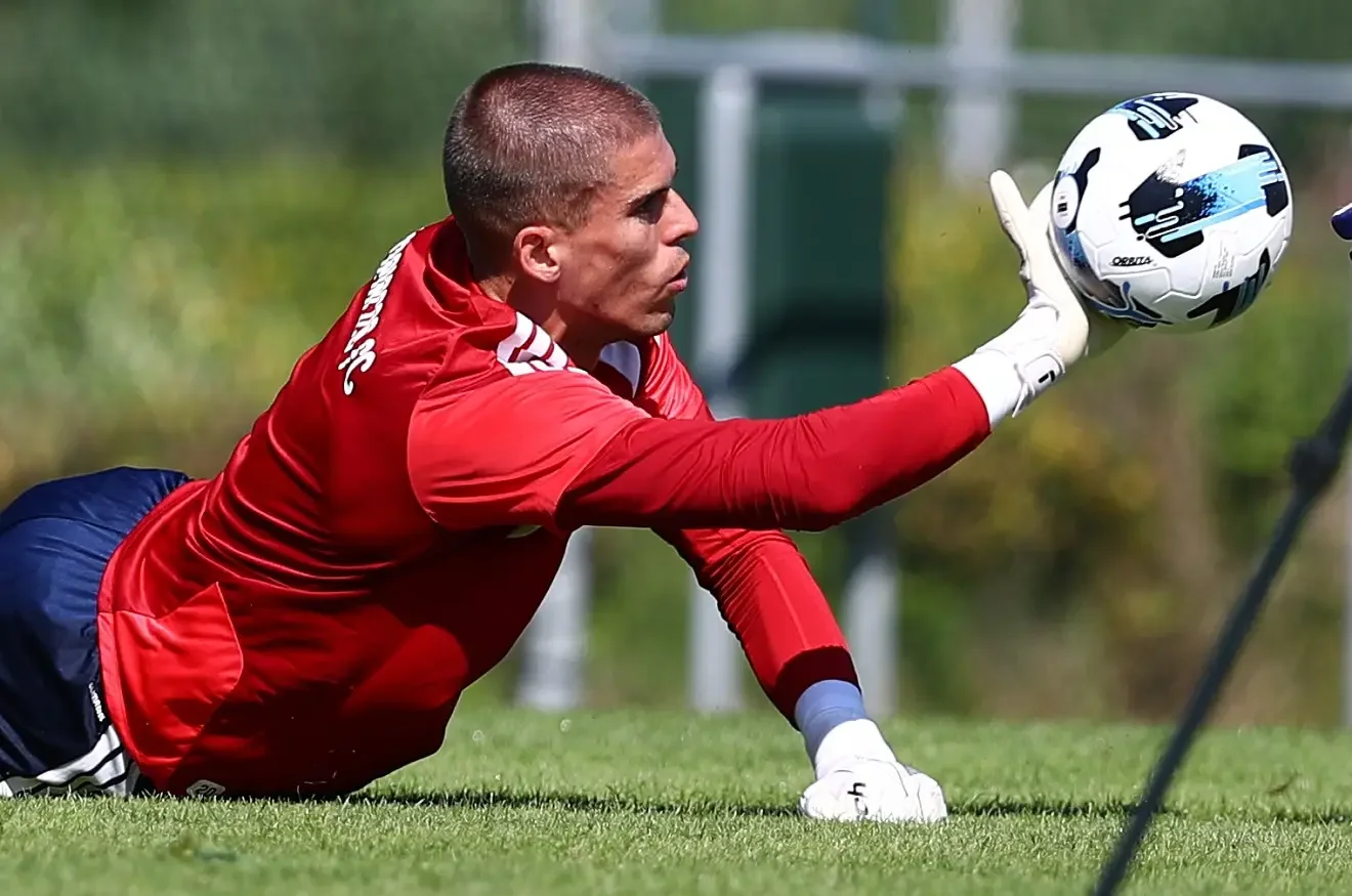 balsa popovic 