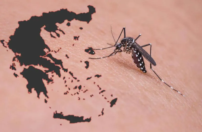 Ιός Δυτικού Νείλου: Τι μπορεί να συμβεί μετά από τσίμπημα κουνουπιού