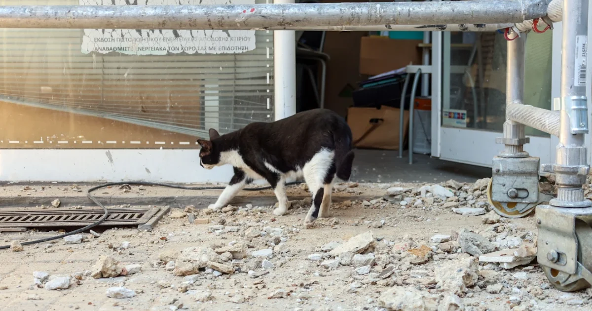 Θεσσαλονίκη: Τμήμα μπαλκονιού κατέρρευσε σε παλιό κτίριο – από τύχη δεν υπήρξαν τραυματίες | Αθλητικά στο PlusTV.gr
