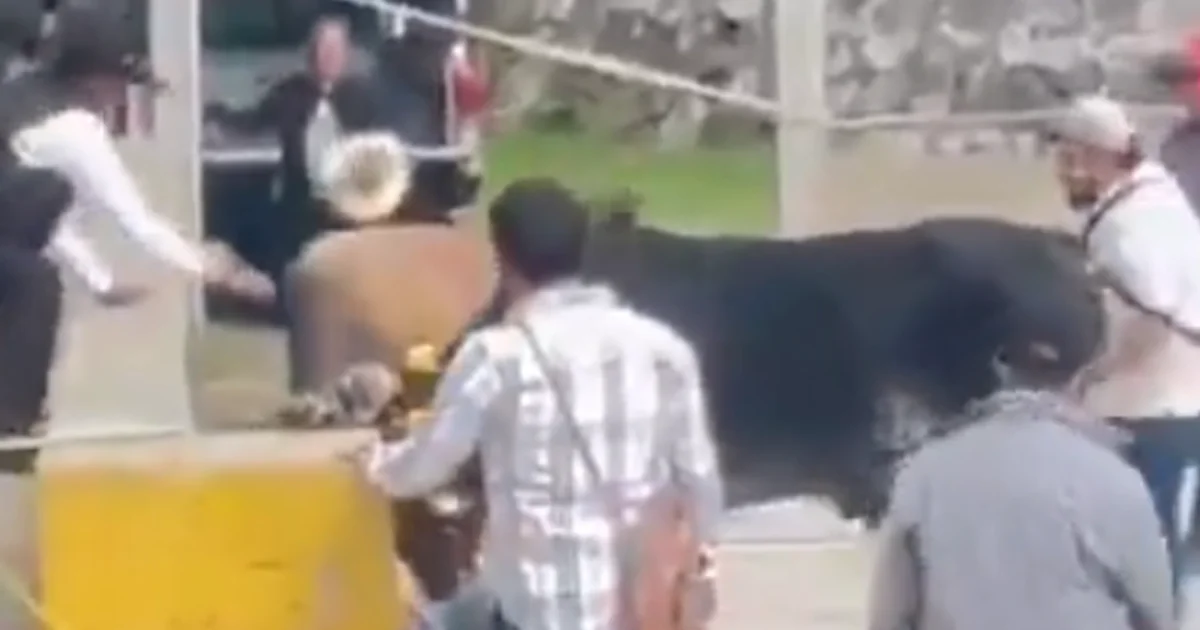 Βόδια πέρασαν πάνω από άνδρα σε γιορτή στο Μεξικό | Αθλητικά στο LivePress.gr