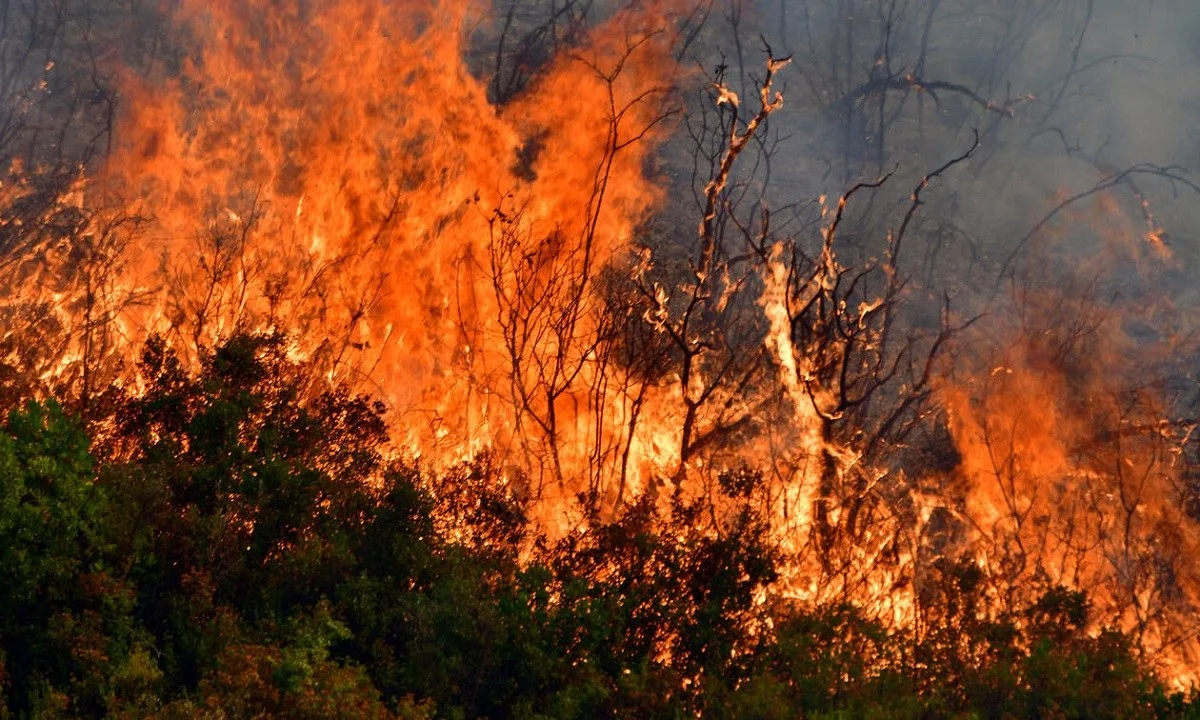 Αύξηση 448% στα καμένα στρέμματα στην Ελλάδα, θλιβερή πρωτιά στην Ευρώπη!
