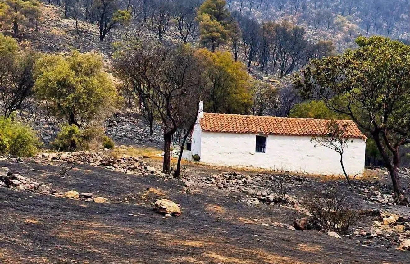 Λύσσαξαν με το εκπληκτικό φαινόμενο - Μηδέν πρόληψη, μηδέν μετάνοια, αλλά τους φταίει το άκαυτο εκκλησάκι που δεν έγινε κάρβουνο!
