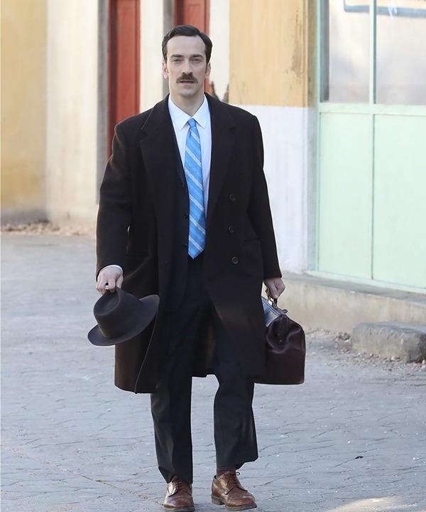 Άγριες Μέλισσες