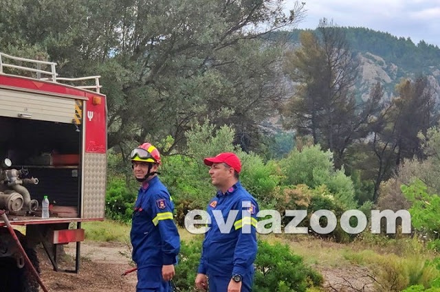 Εύβοια: Κατασβέστηκε πυρκαγιά στο πευκοδάσος στην περιοχή Κυπαρίσσι
