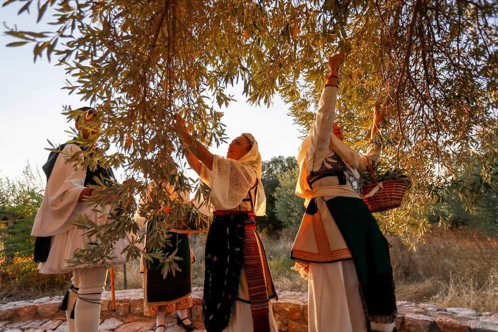 Από την περσινή συμβολική εκδήλωση στη Μαυροελιά του Αρτεμισίου ή Ελιά Μαυρομανδήλα (photo by Angelos Zymaras @ Αυθεντικός Μαραθώνιος Κολύμβησης)