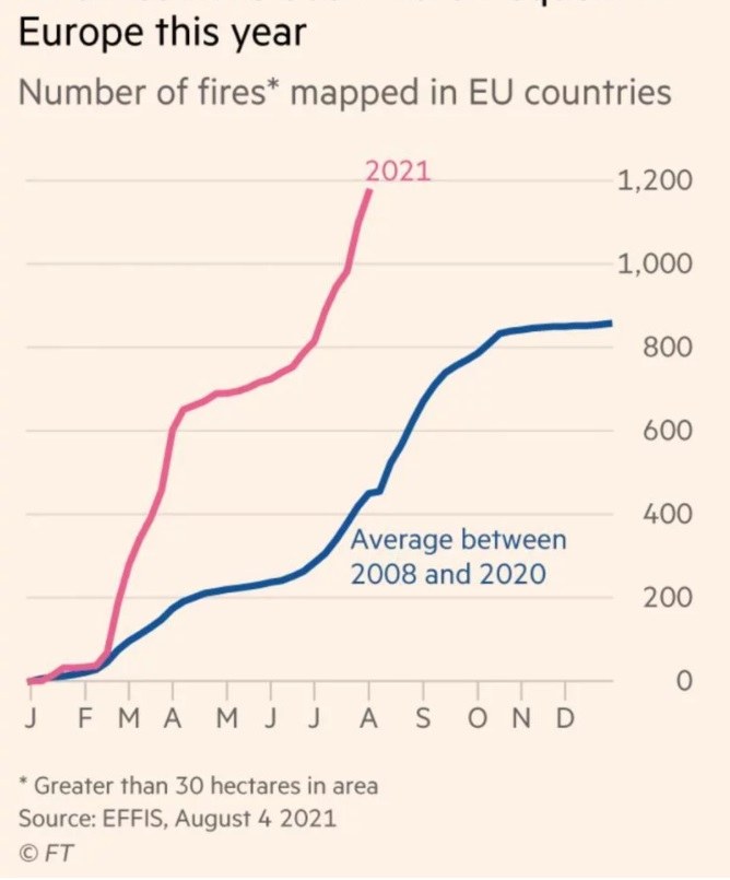 οι χώρες της Μεσογείου όπως η Ελλάδα, αλλά και η γειτονική Τουρκία έχουν βιώσει για τα καλά των «πύρινο όλεθρο» την τελευταία εβδομάδα με τις τεράστιες φωτιές που κατακαίνε τα πάντα εδώ και πολλά 24ωρα.