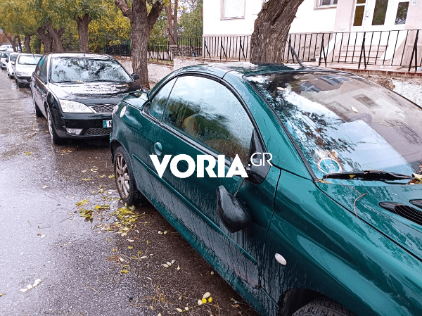 Θεσσαλονίκη: Άγνωστοι προκάλεσαν φθορές σε σταθμευμένα αυτοκίνητα έξω από το «Αλεξάνδρειο Μέλαθρο», χωρίς προς να κλέψουν πράγματα.