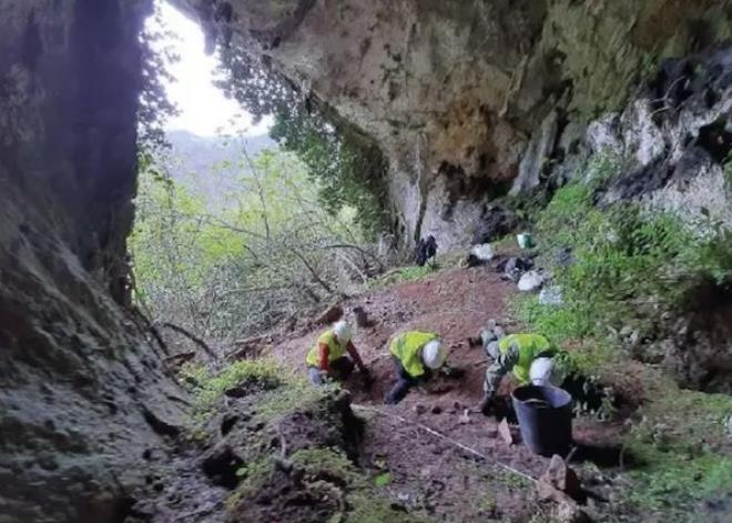 Ασβός αναζητώντας φαγητό στην Ισπανία, βρήκε χρυσά νομίσματα από αρχαίο θησαυρό της Κωνσταντινούπολης και την Θεσσαλονίκης!