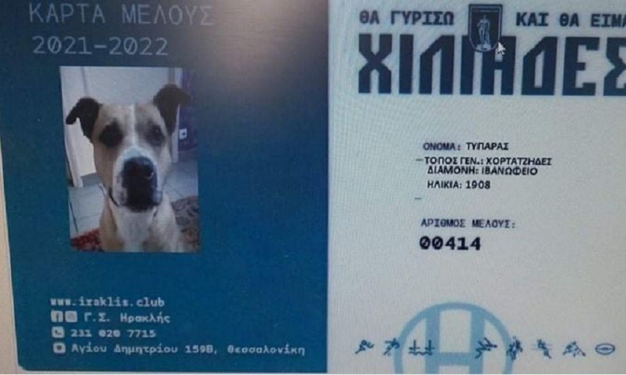 Επίσημα μέλος του του ΑΣ Ηρακλής, ο Τυπάρας, ο σκύλος που εθεάθη μέσα στο Ιβανώφειοο και έγινε θέμα σε όλα τα ΜΜΕ! Η κάρτα μέλους του.