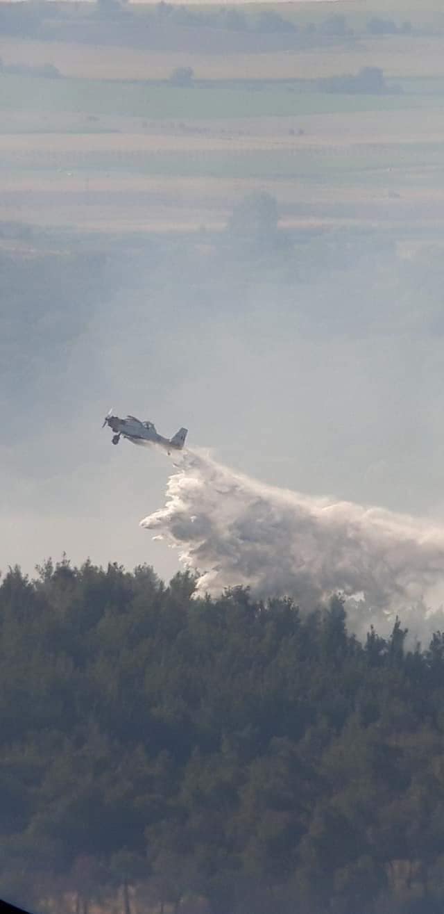 Φωτιά στον Έβρο: Ασύλληπτη η καταστροφή στο δάσος της Δαδιάς - Καίγεται για 4η μέρα το Εθνικό πάρκο