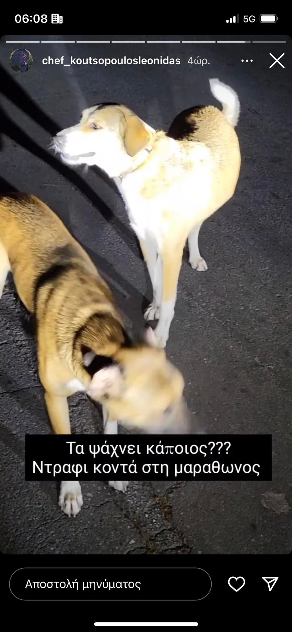 Λεωνίδας Κουτσόπουλος: Άγριο κράξιμο στην κυβέρνηση για την φωτιά - Πήγε να σώσει αδέσποτα