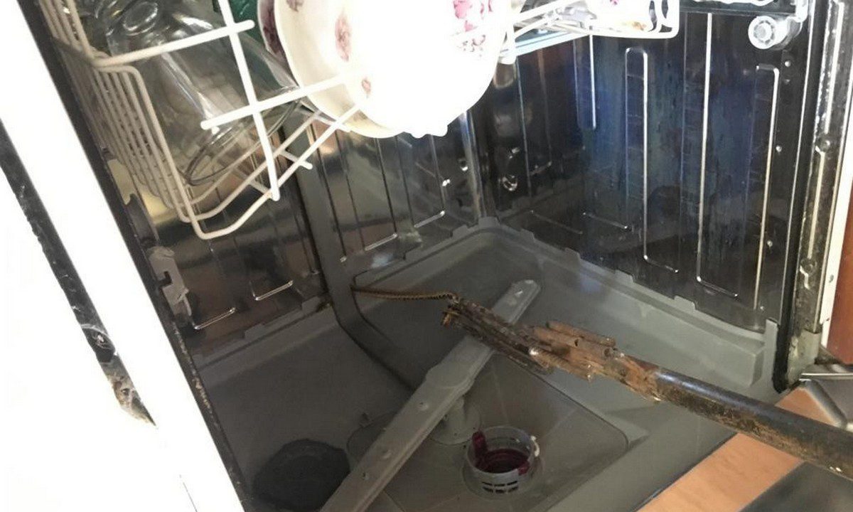 Τουρκία: Φίδι σε πλυντήριο πιάτων! (pics)