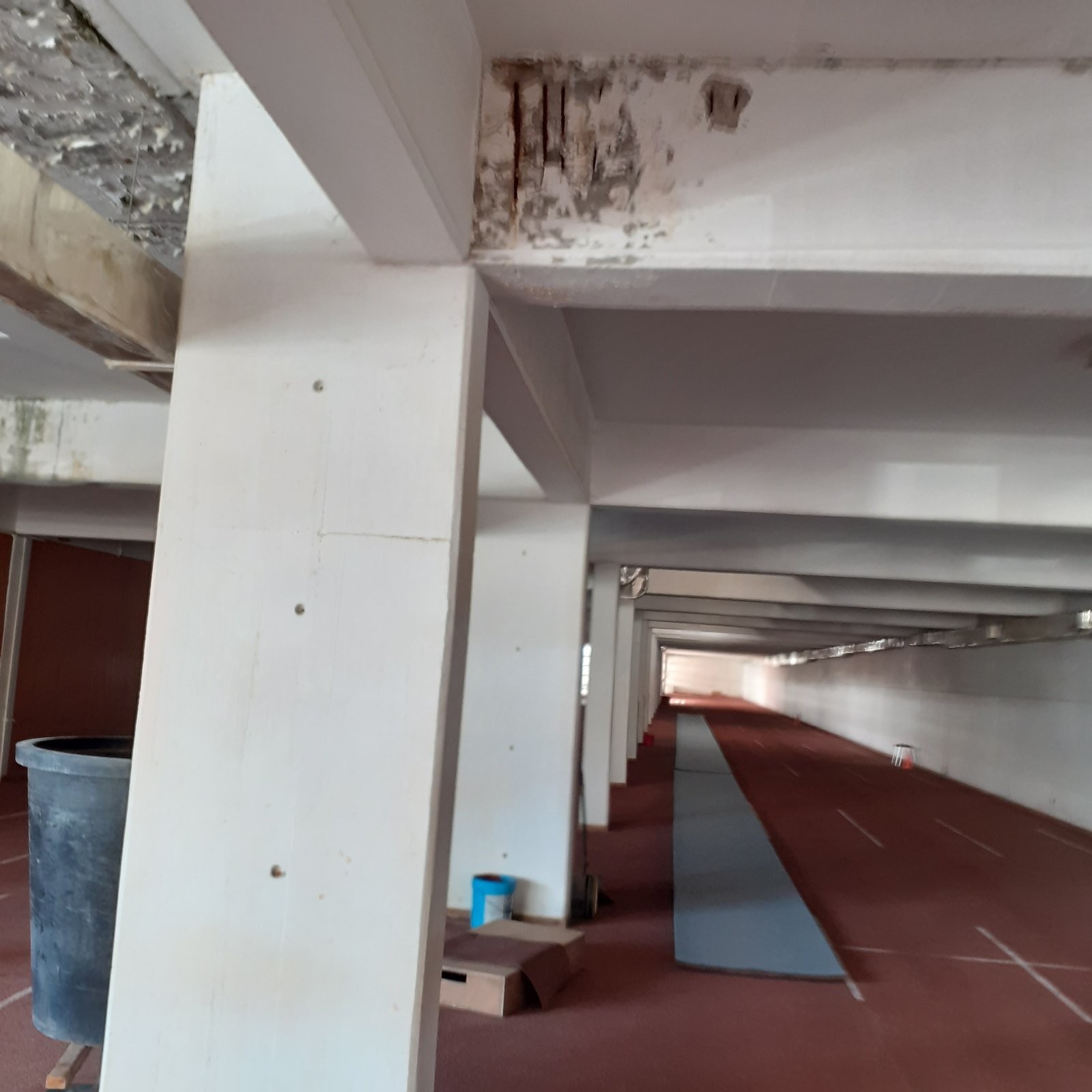 Άθλιες οι συνθήκες προπόνησης για Ολυμπιονίκες και μέλη της Εθνικής ομάδας – Επιστολή του Πομάσκι σε Μητσοτάκη – Έκθετος ο Λευτέρης Αυγενάκης
