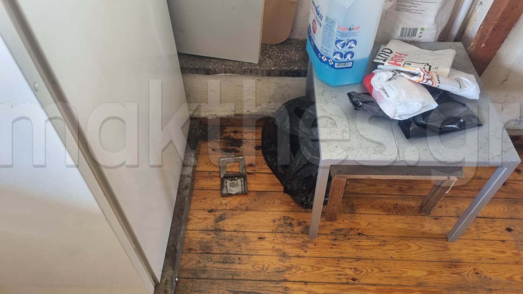 Στο σταθμαρχείο Θεσσαλονίκης τα ποντίκια μασάνε τα καλώδια, τα φωτόσημα δεν λειτουργούν, οι σταθμάρχες ρυθμίζουν την κυκλοφορία στα «τυφλά».