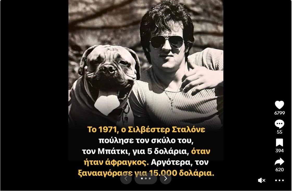 Η συγκινητική ιστορία με τον σκύλο του Σιλβλέστερ Σταλόνε τον οποίο ο θρυλικός ηθοποιός αναγκάστηκε να πουλήσει για για μόλις 5 δολάρια όταν ήταν πολύ φτωχός και αγόρασε πίσω για 15.000