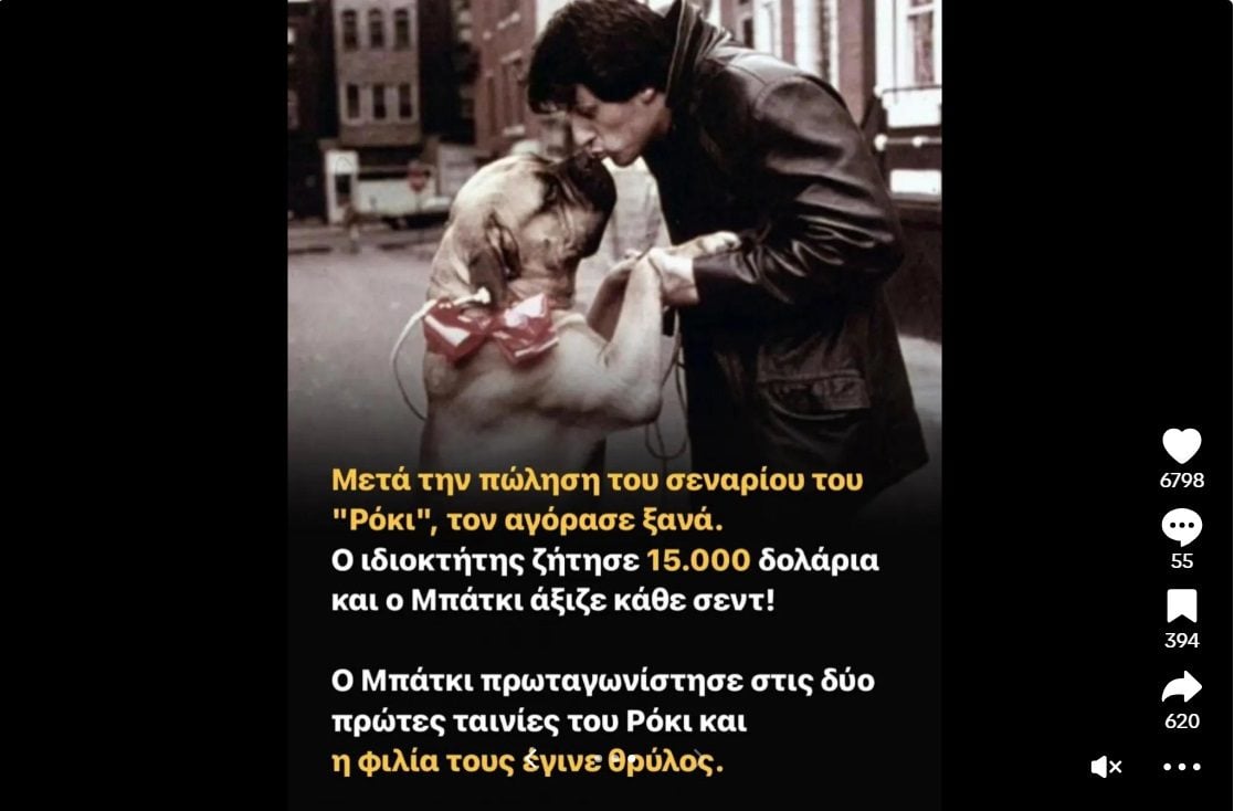 Η συγκινητική ιστορία με τον σκύλο του Σιλβλέστερ Σταλόνε τον οποίο ο θρυλικός ηθοποιός αναγκάστηκε να πουλήσει για για μόλις 5 δολάρια όταν ήταν πολύ φτωχός και αγόρασε πίσω για 15.000